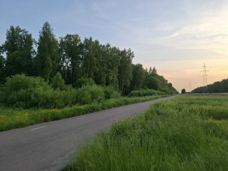 Дорожки в парке Лосиный остров, состояние на 8 июня 2026 по отзыву, фото 5. 
